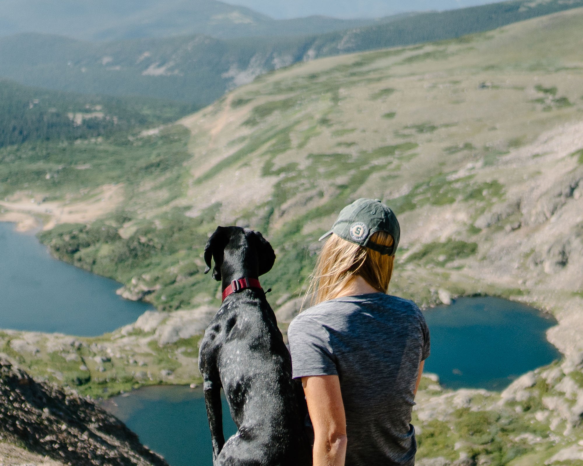 A dog and their owner sitting on mountain overlook while using their atlas pet company gear