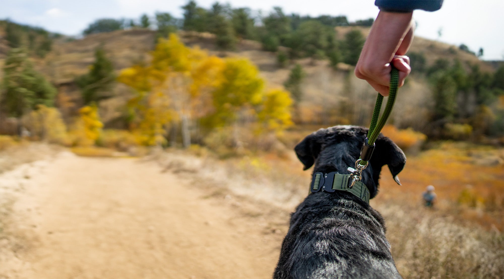 atlas pet company lifetime handle attached to dog while on trail with changing leafs