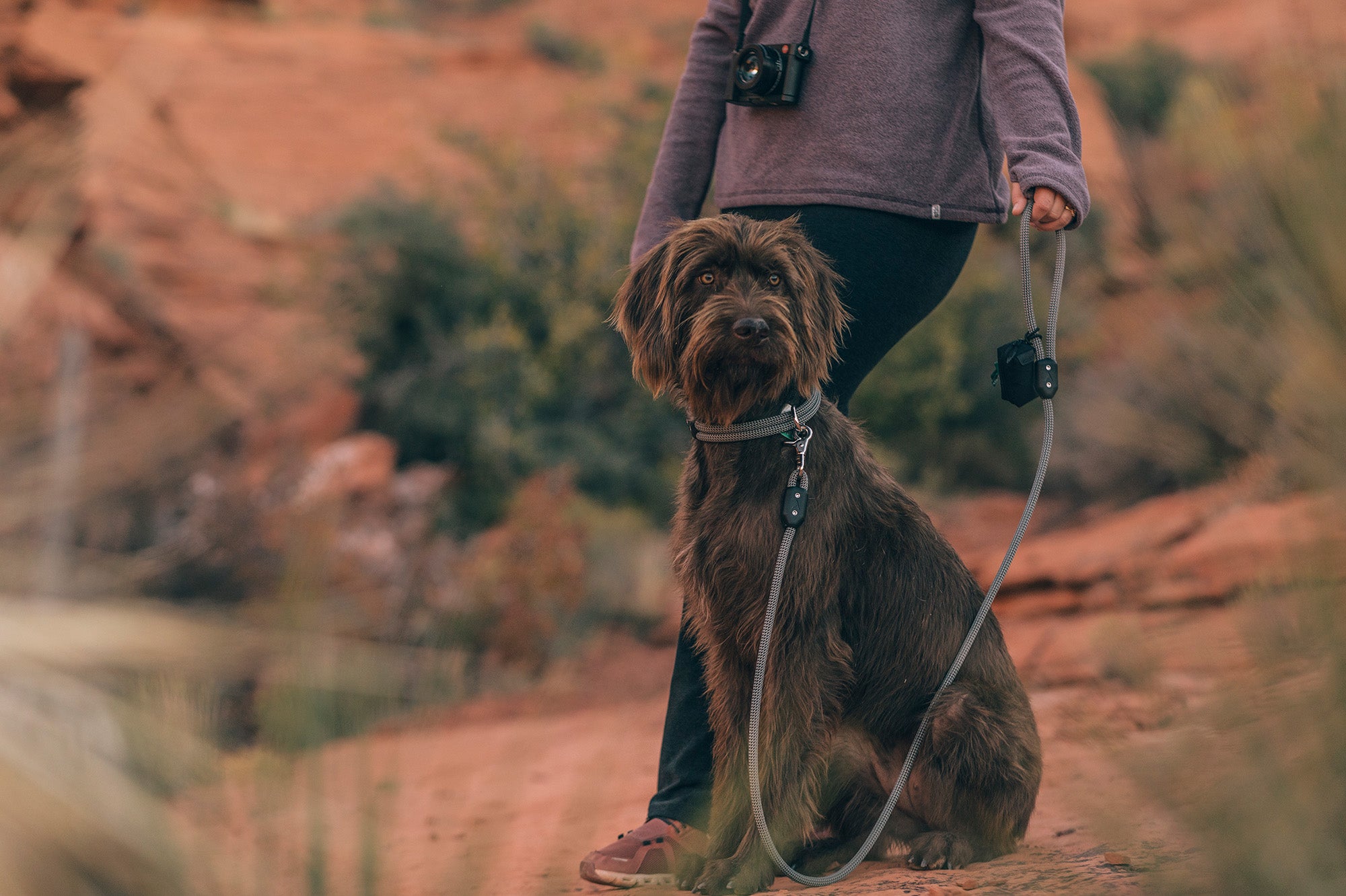 dog attached to atlas pet company lifetime leash on a red rock trail