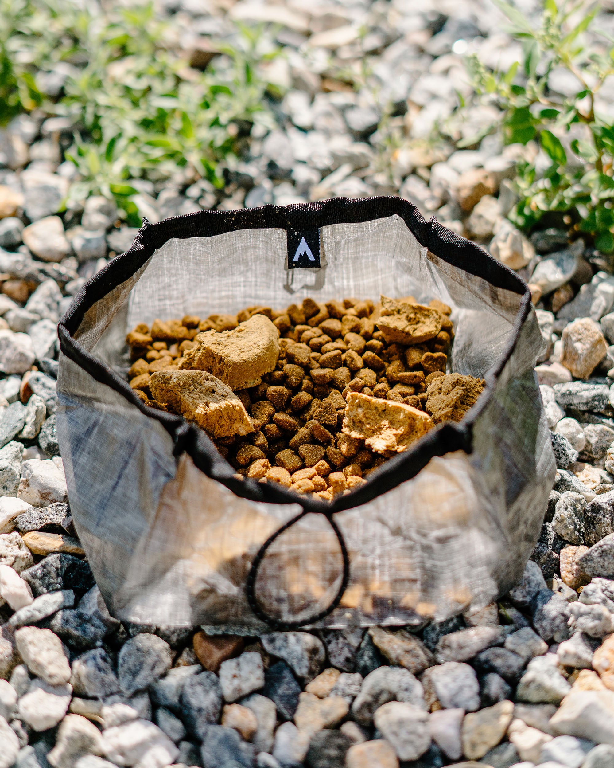 the atlas pet company lifetime bowl for active dogs filled with dog food