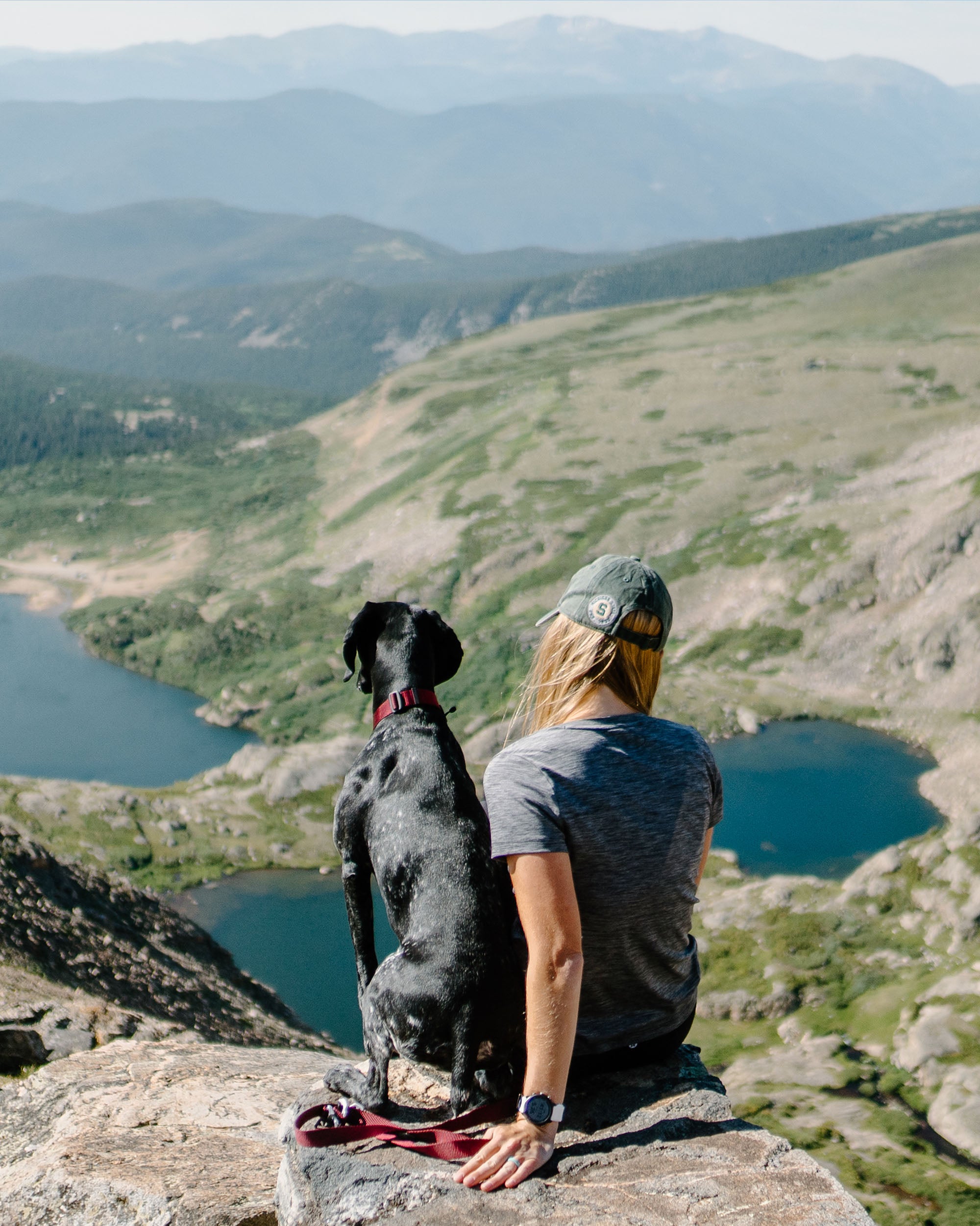 A dog and their owner sitting on mountain overlook while using their atlas pet company gear