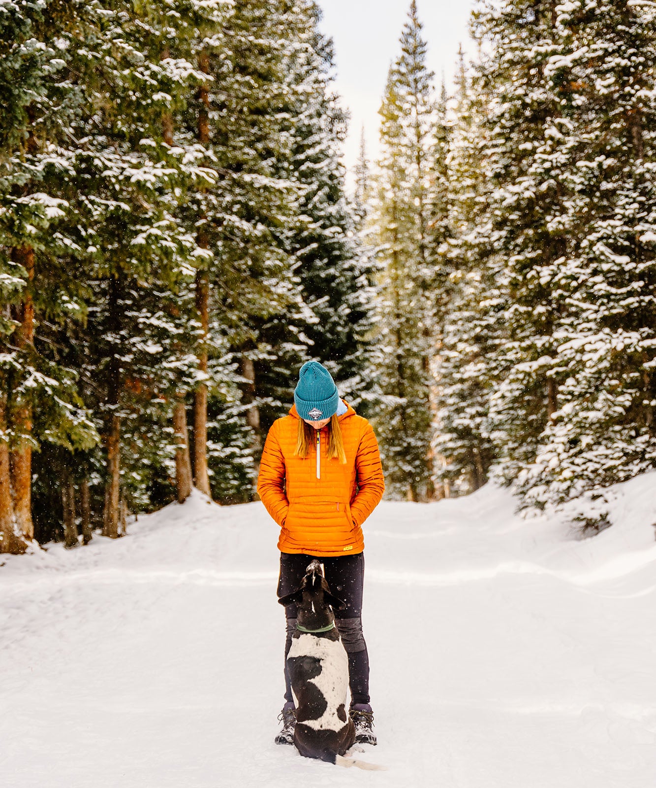 woman and dog standing in the middle of a snowy trail in a forest with atlas pet company gear