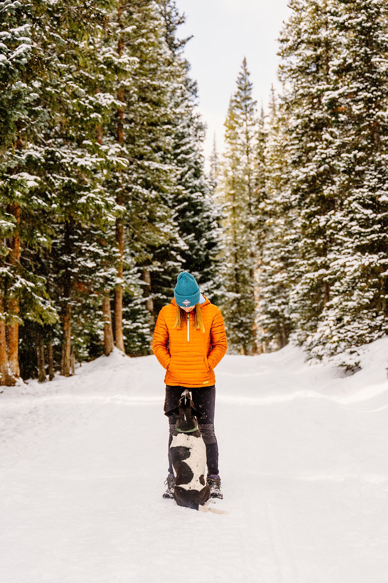 woman and dog standing in the middle of a snowy trail in a forest with atlas pet company gear