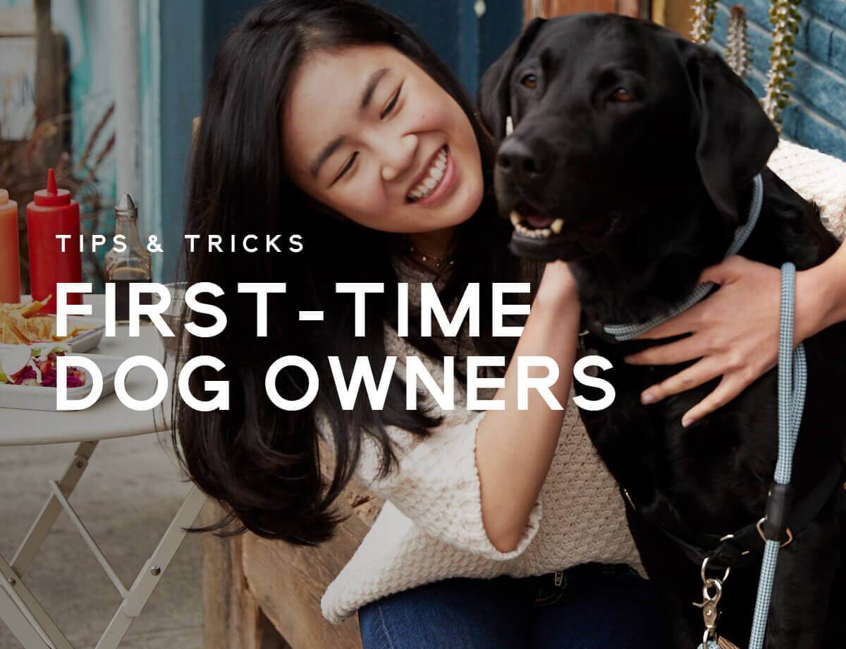 Tips & Tricks for First Time Dog Owners: How to Prepare for a Puppy | Atlas Pet Company