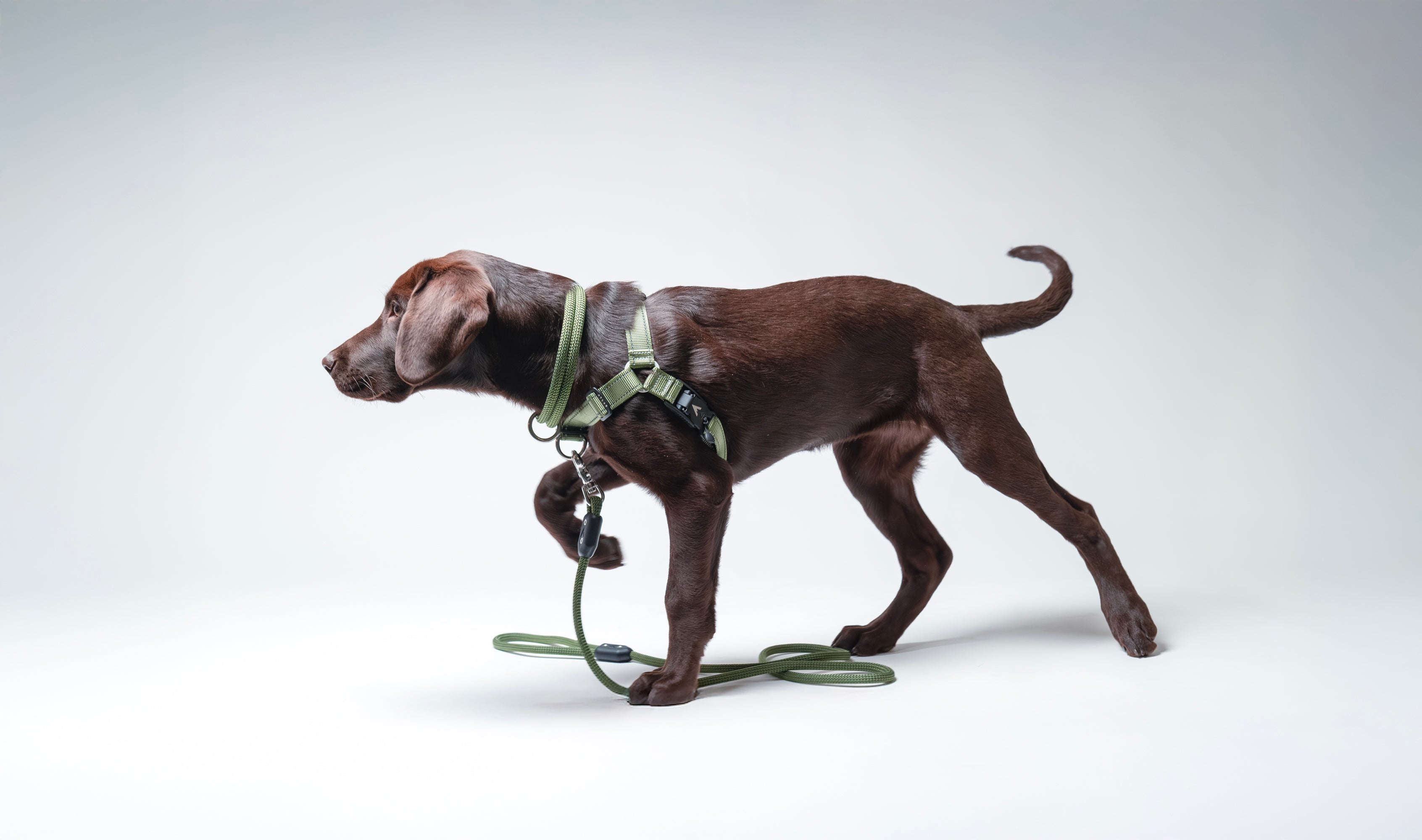 Waterproof Dog Harnesses