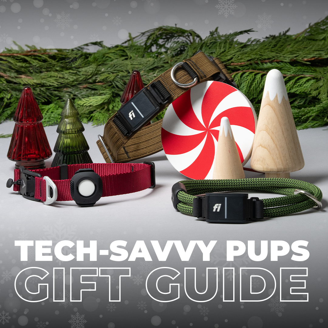 atlas pet company tech-savvy pups gift guide
