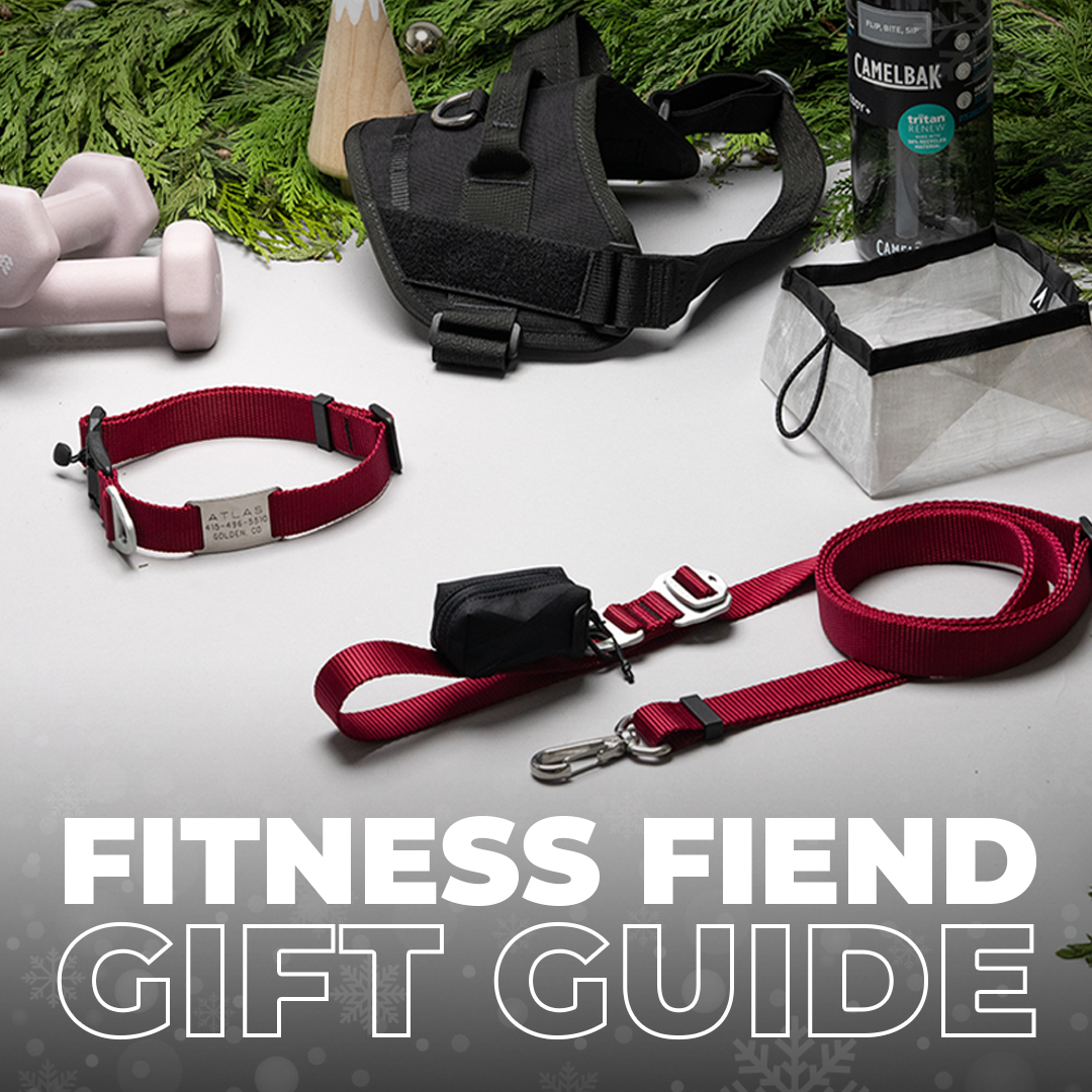 atlas pet company fitness fiend gift guide