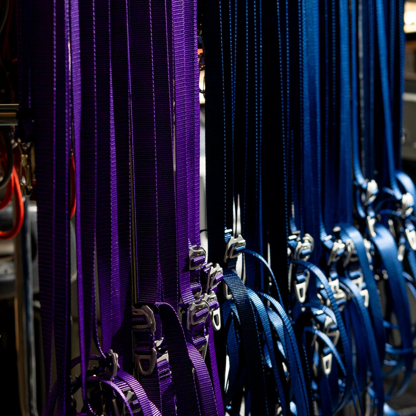 Lifetime Lite | Atlas Pet Company