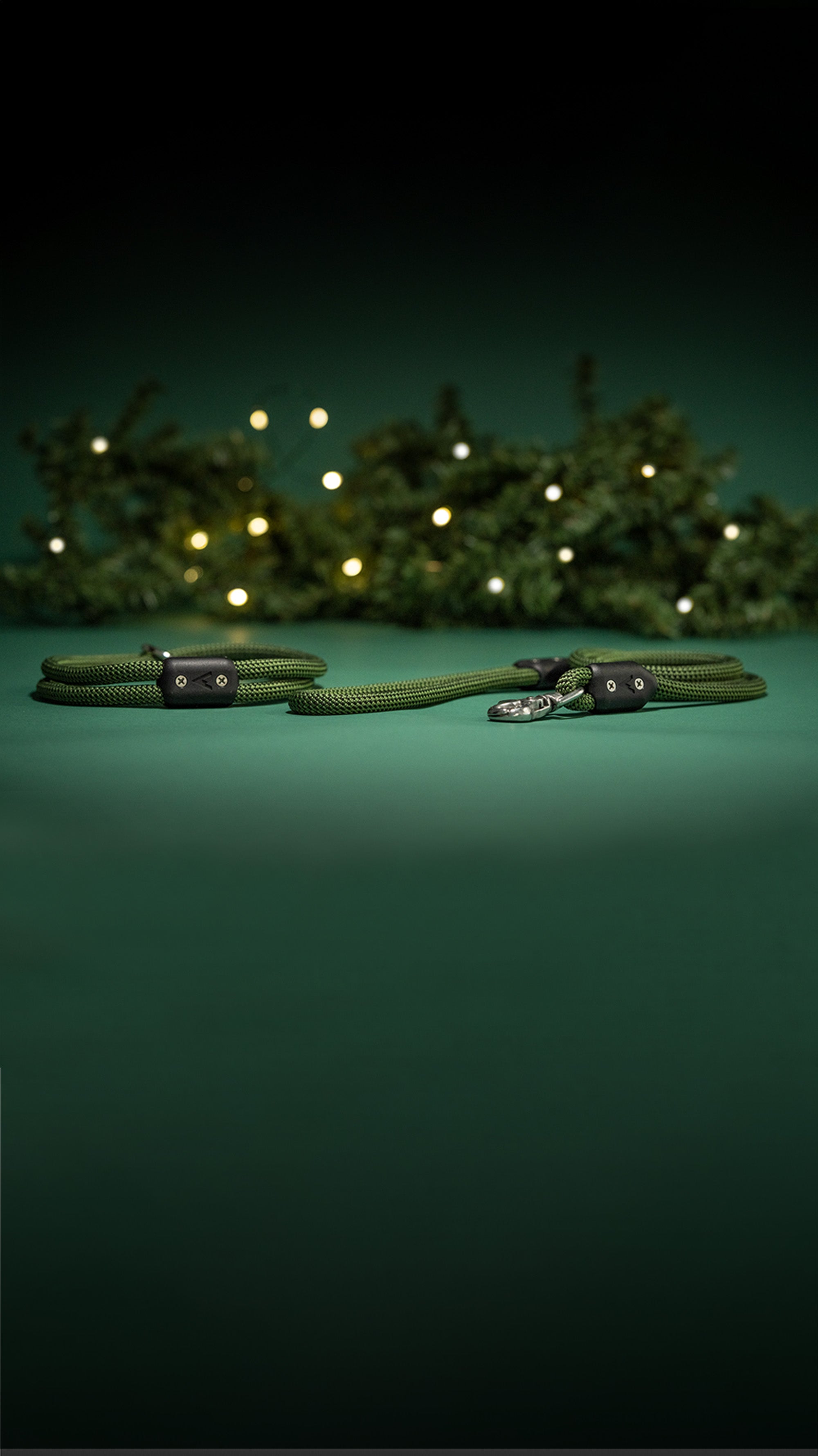 Atlas Pet Company Moss Lifetime Leash and Lifetime Collar Christmas theme