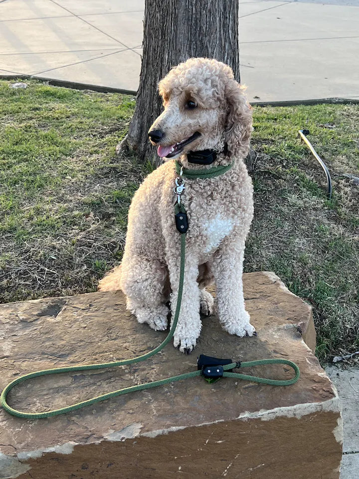 I’m pleased with the leash construction, quality, and vibrant color; at times I’ve had to drop the leash and it stands up to being dragged down the stairs or across the ground! I was happy to find an American company to support!