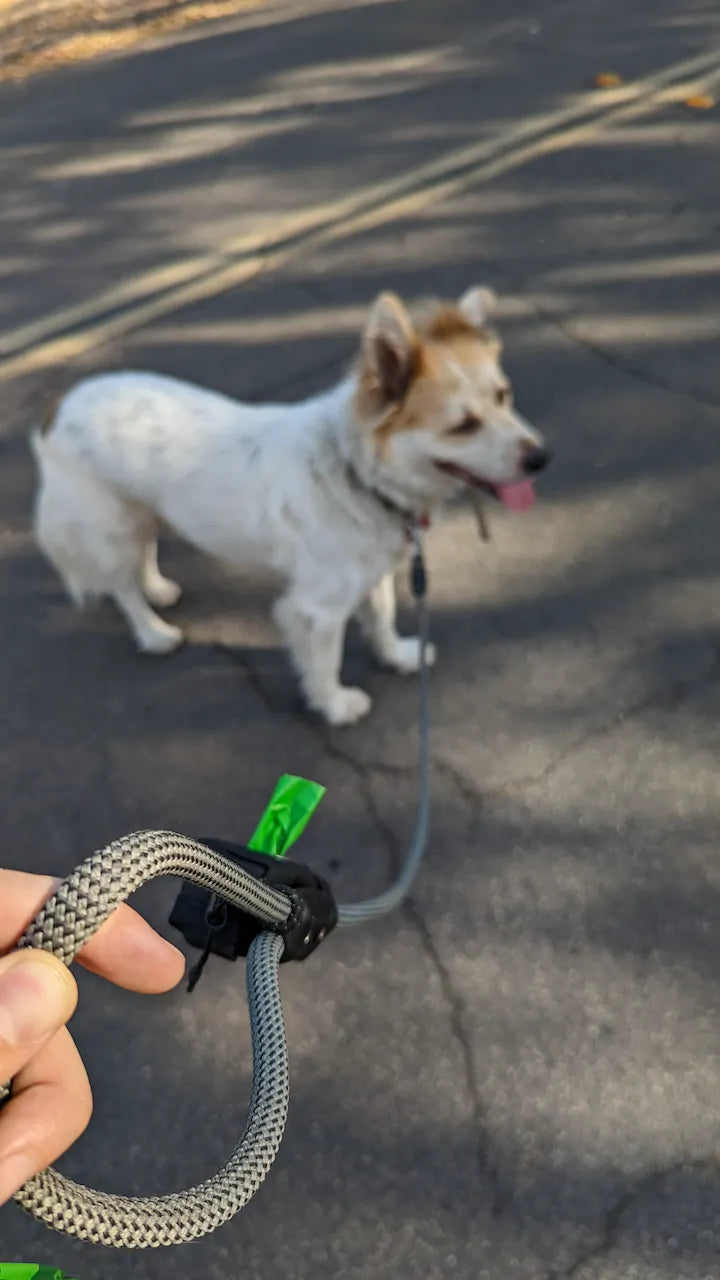 This is the best lead I&#39;ve owned. It&#39;s comfortable in hand and can be wrapped around my shoulder when my dog is off-leash. The claw buckle is outstanding making clasping much easier when connecting to a harness or collar.