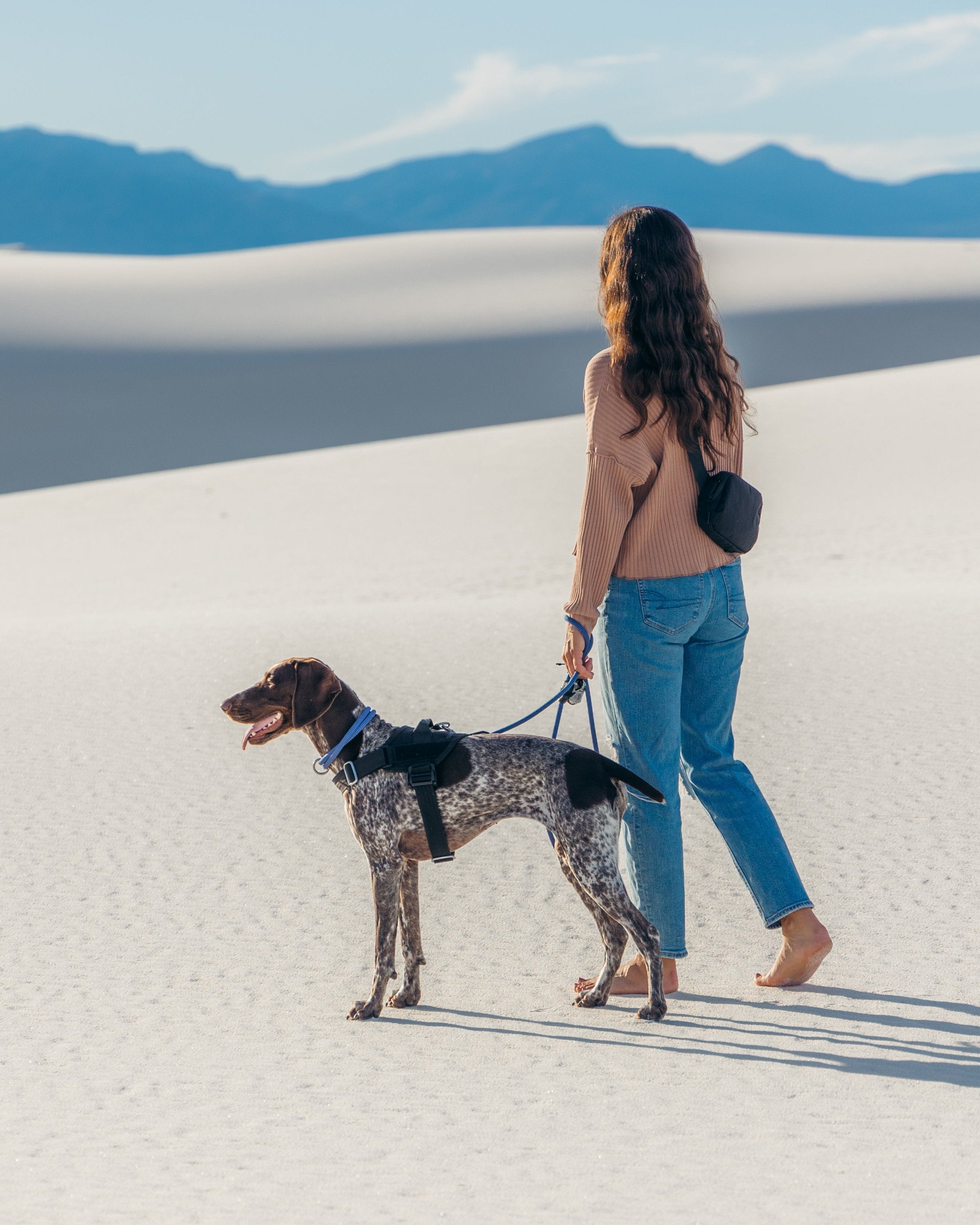 atlas pet company young woman walking with her dog in the desert sand dunes wearing lifetime pro harness lifetime collar lifetime leash lifetime belt bag