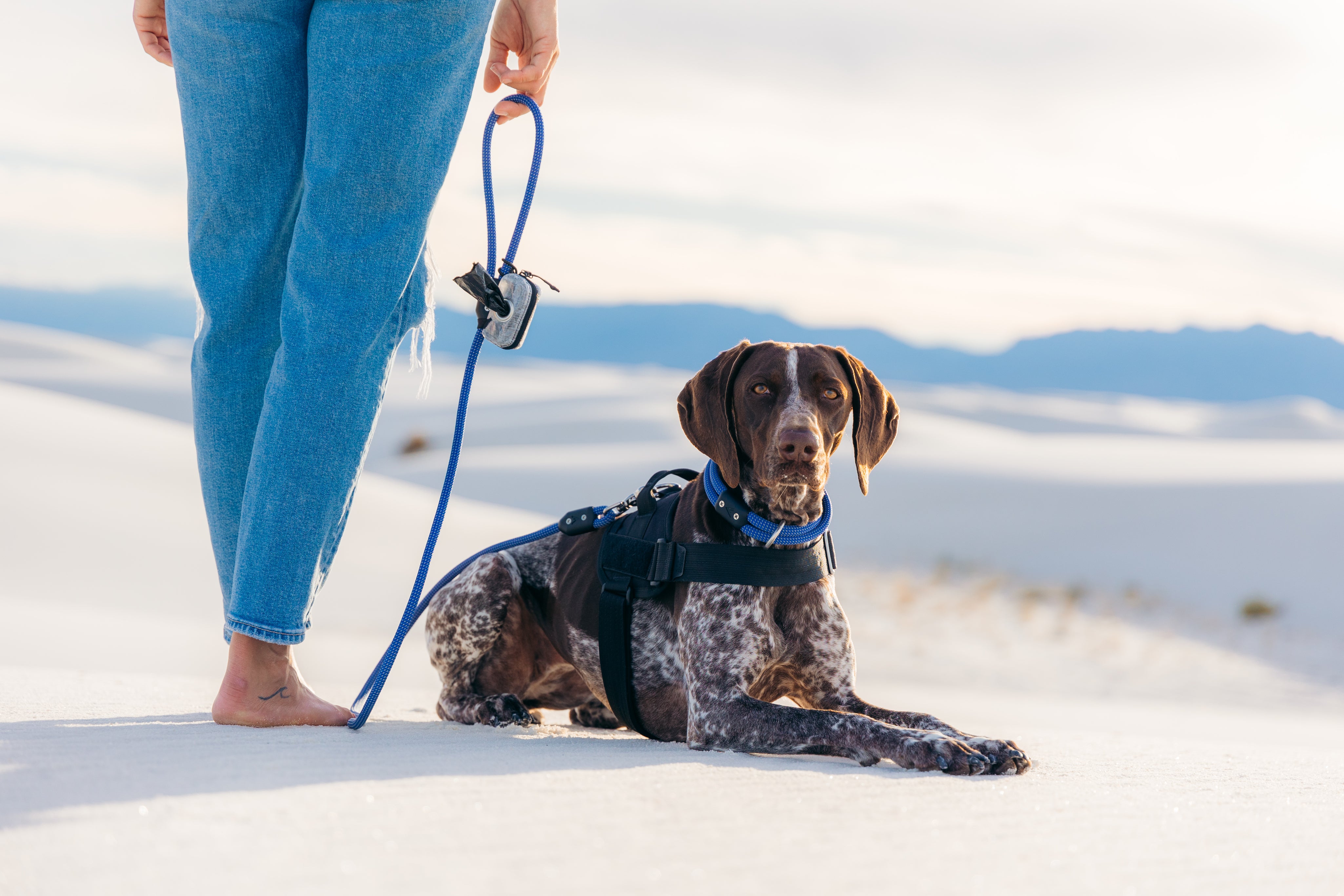 Dog on a leash with a person in blue jeans standing on a sandy surface with mountains in the background