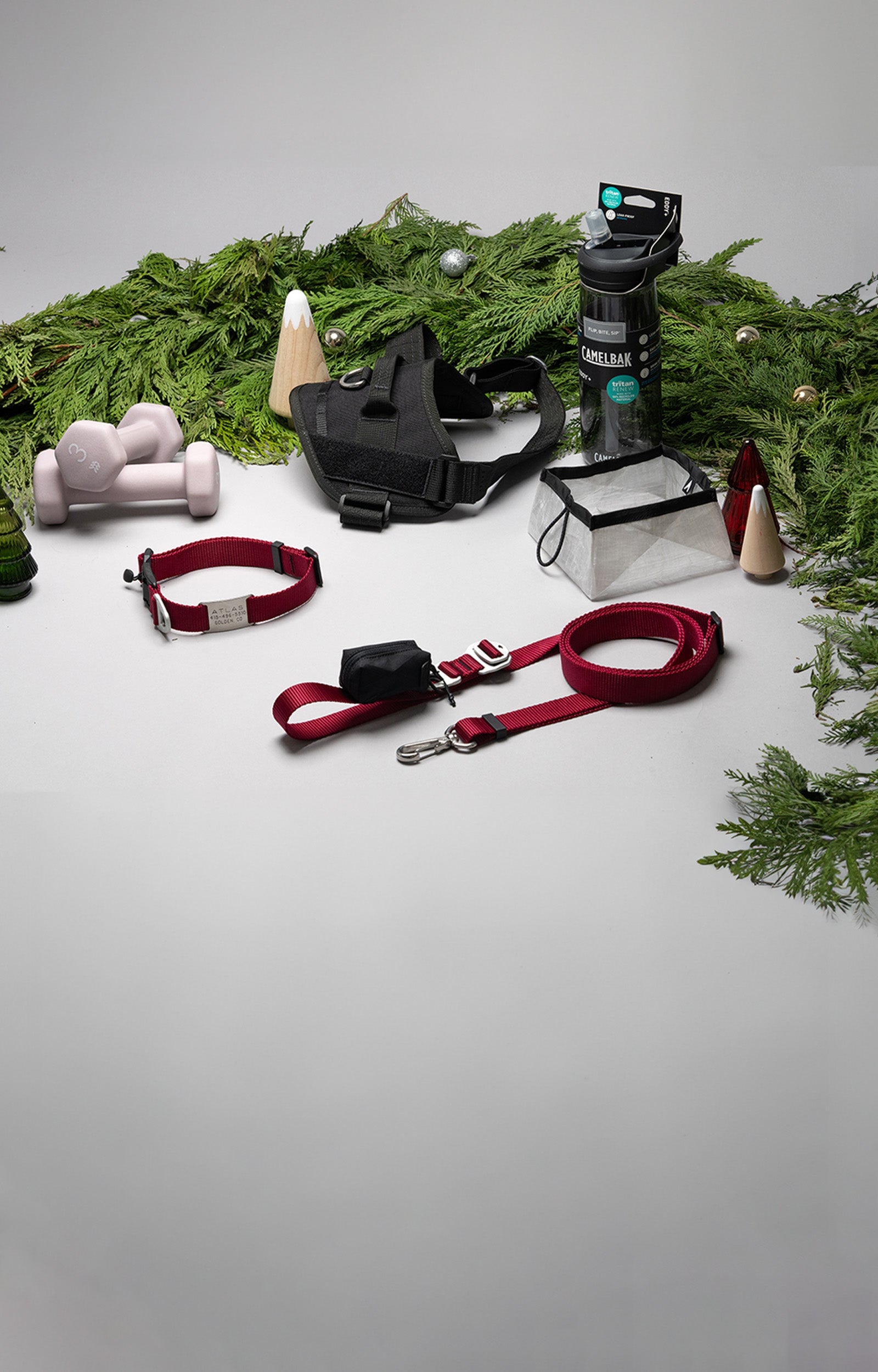 atlas pet company holiday fitness gift guide