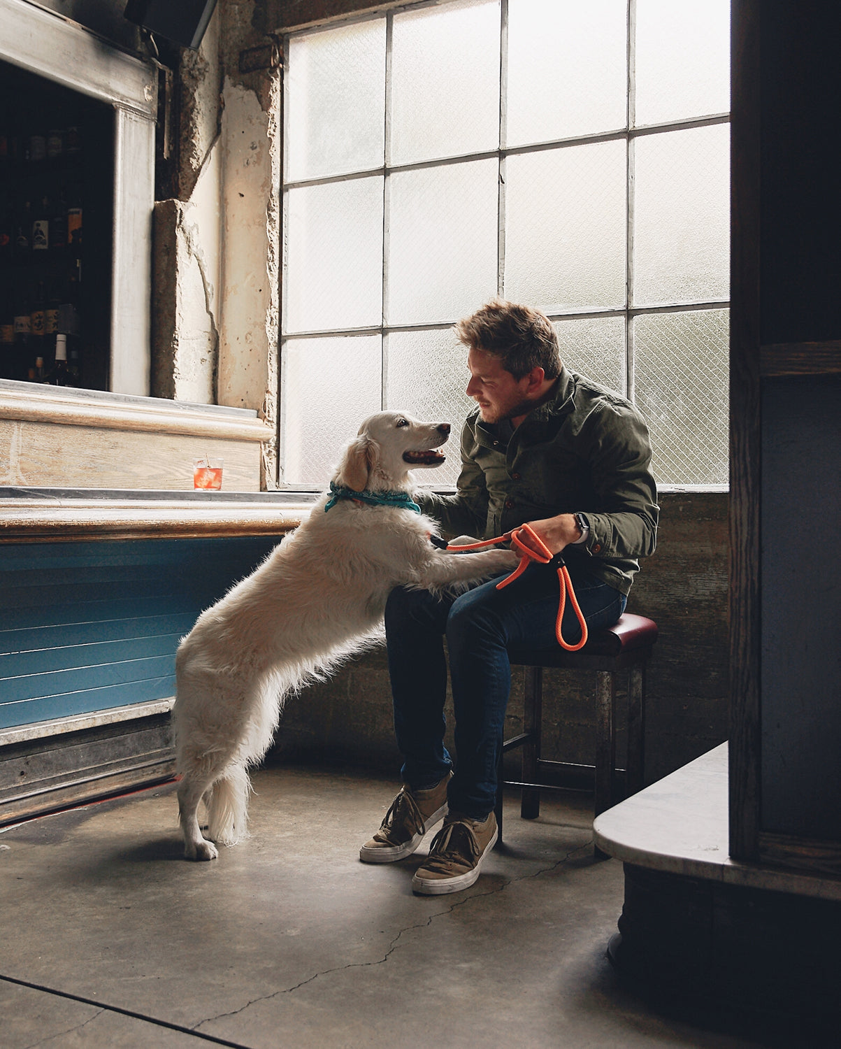 atlas pet company homepage lifetime warranty leash premium dog leashes collars moneal