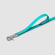 atlas pet company lifetime air leash biothane waterproof dog leash handmade in golden colorado with lifetime warranty --teal