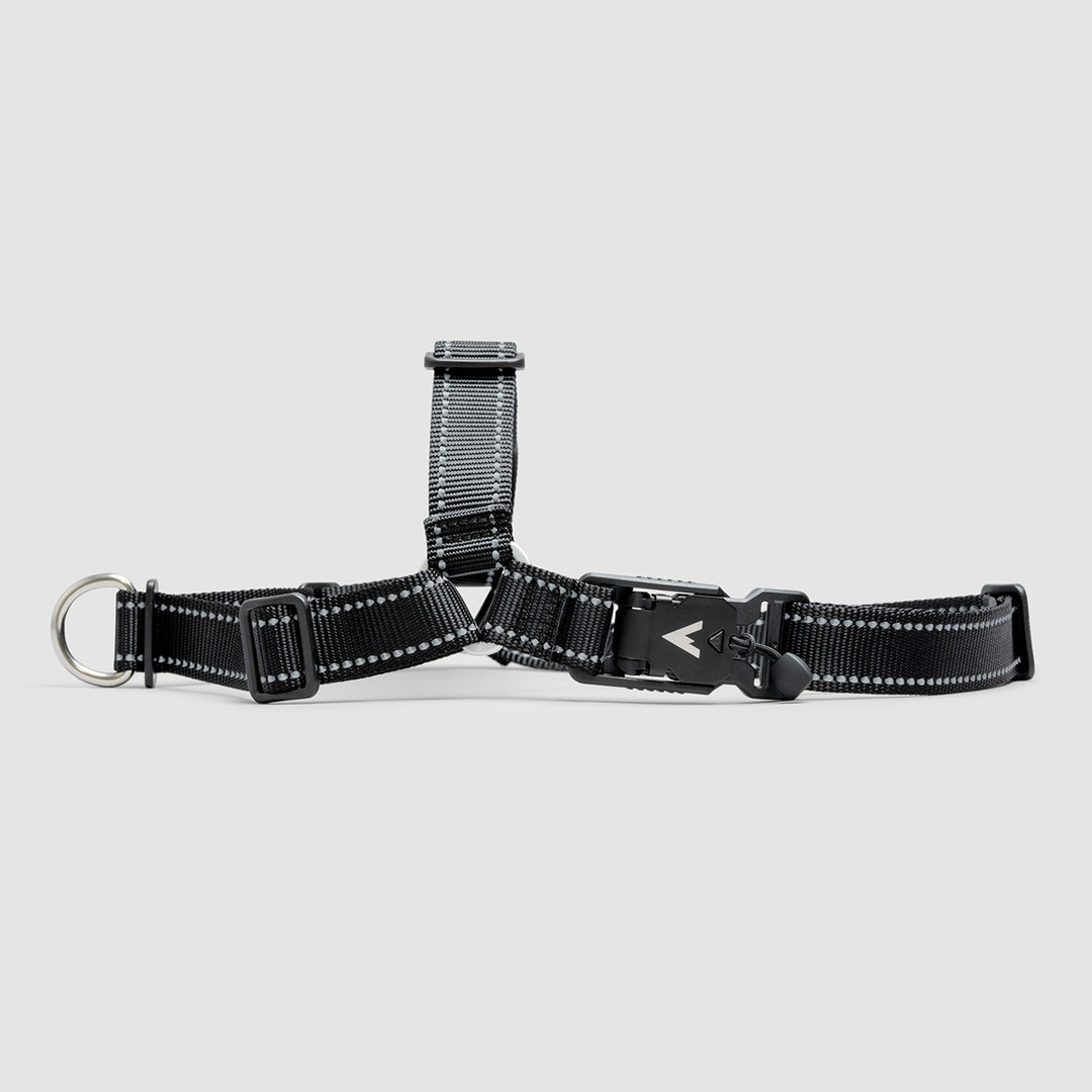 Elite Paws® UK: Premium Metal Buckle Dog Harness, Strong, Safe, Padded Elite Paws® UK: Premium Metal Buckle Dog Harness, Strong, Safe, Padded