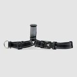 Lifetime Harness