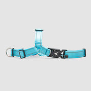 atlas pet company lifetime harness handmade in golden colorado with lifetime warranty