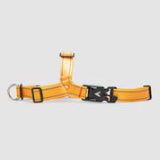 atlas pet company lifetime harness handmade in golden colorado with lifetime warranty