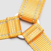 atlas pet company lifetime harness handmade in golden colorado with lifetime warranty