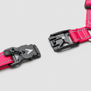 Lifetime Harness