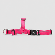 Lifetime Harness