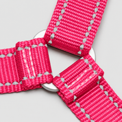 Lifetime Harness