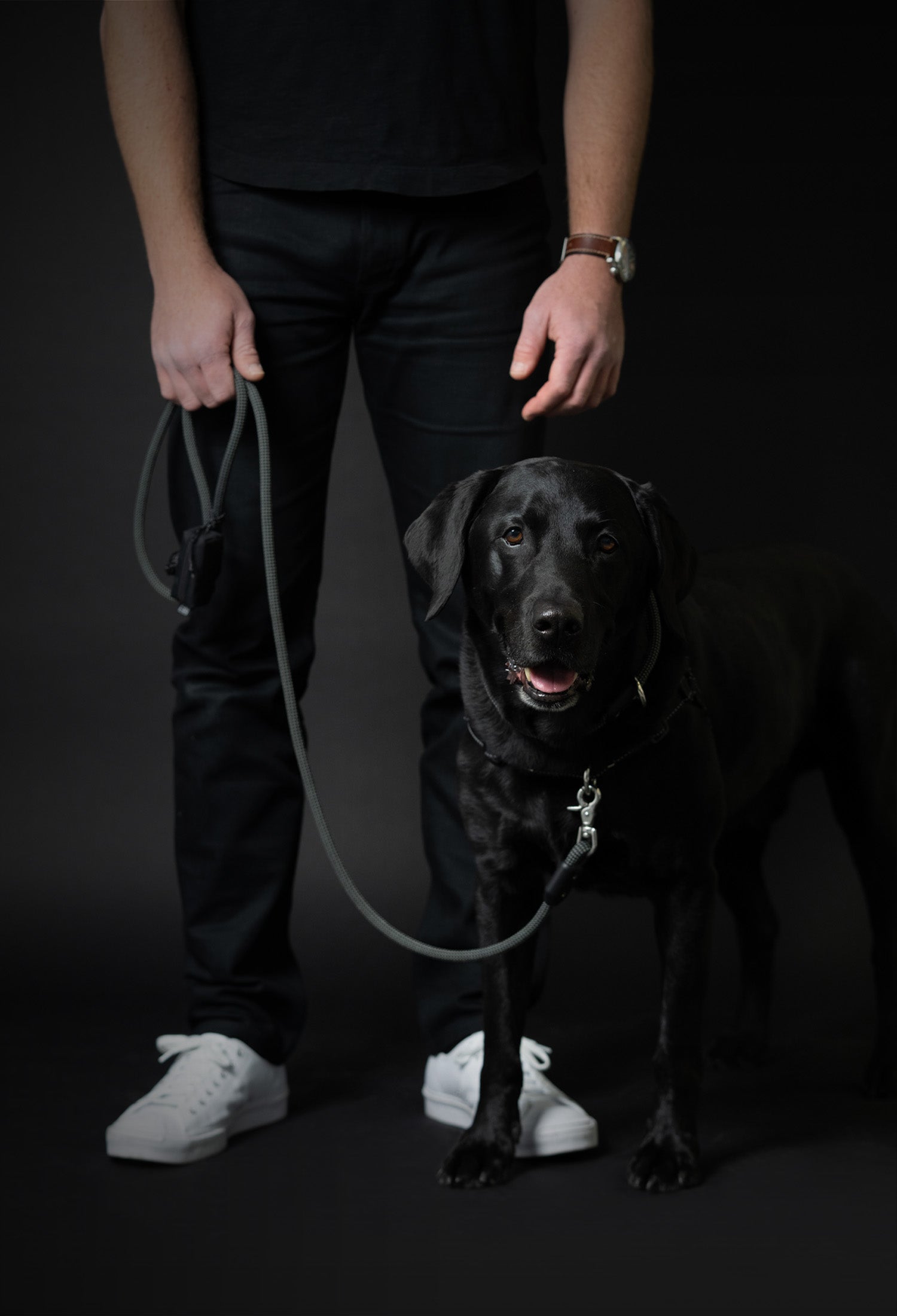 Lifetime Collar® - Lifetime Warranty Climbing Rope Dog Collar – Atlas Pet  Company