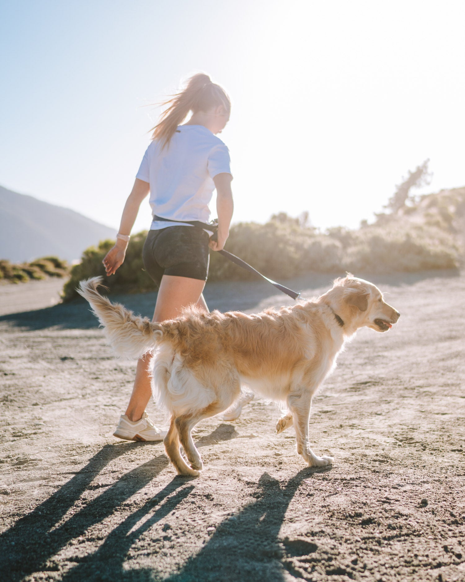 Girl walking up mountain pass with golden retriever wearing the Atlas Pet Company Lifetime Lite adjustable hands-free leash