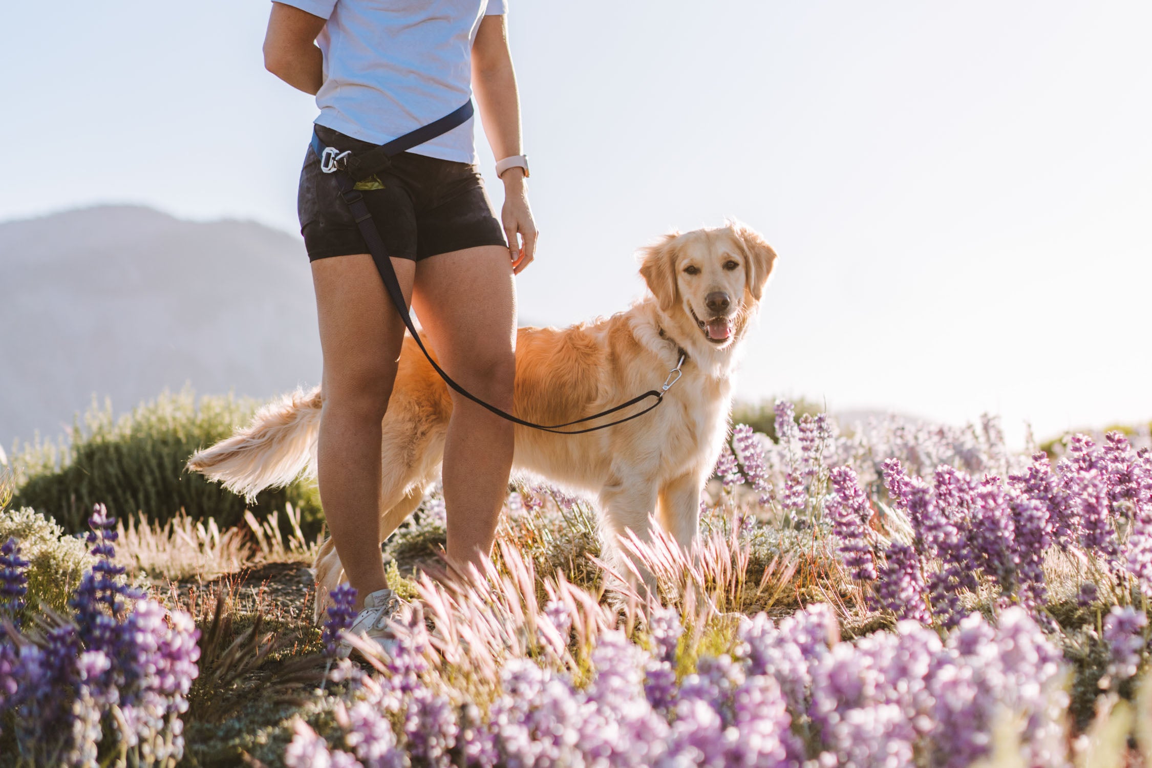 Girl standing with golden retriever on mountain overlook wearing the Atlas Pet Company Lifetime Lite adjustable hands-free Leash