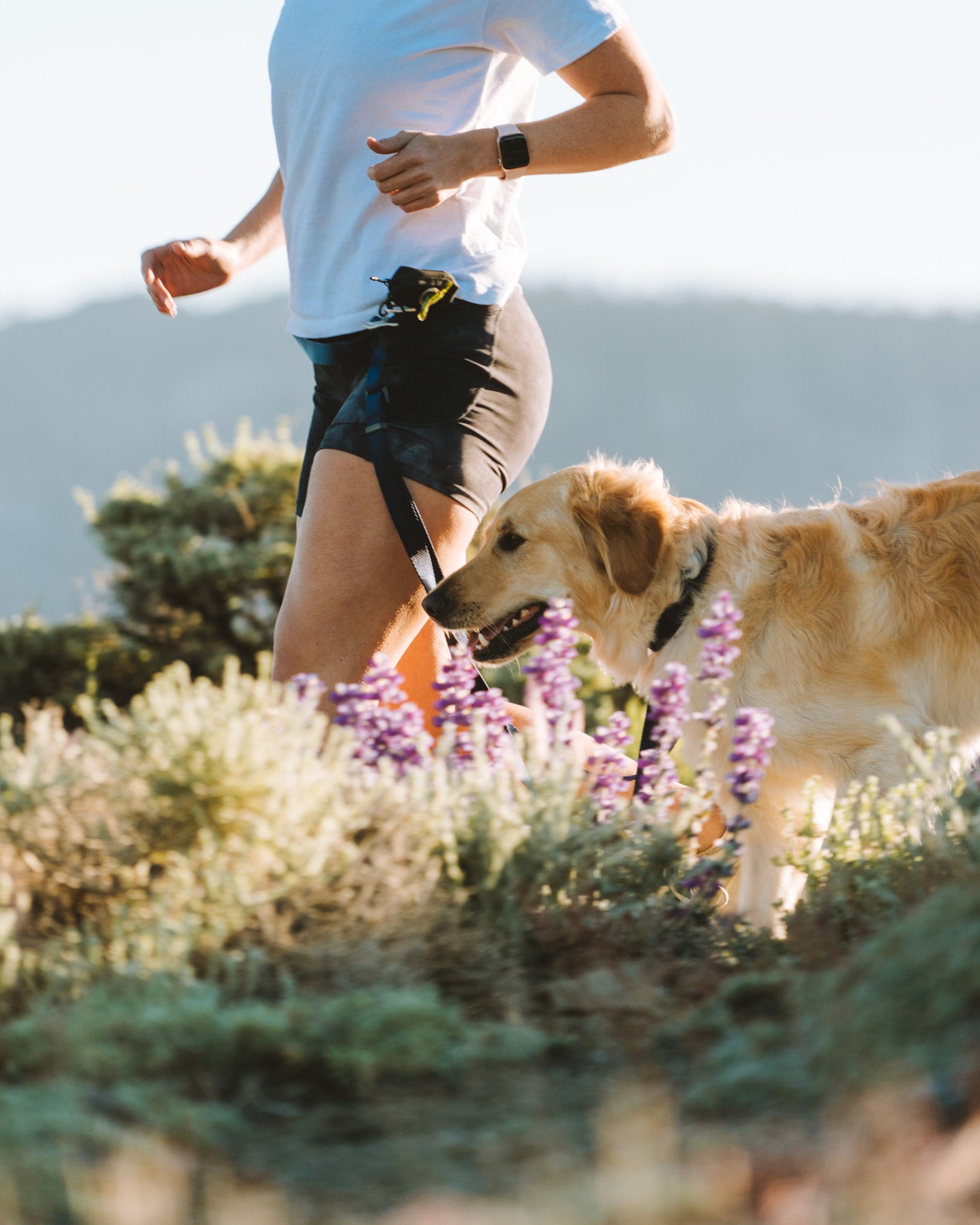 Girl running with golden retriever in the mountains using the the Atlas Pet Company Lifetime Lite Hands-free Leash