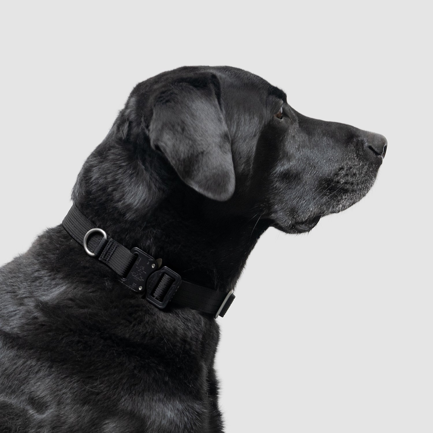 Lifetime Pro Collar - Lifetime Warranty Tactical Collar Made in