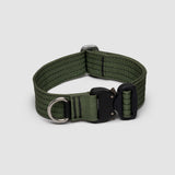 Lifetime Pro Collar