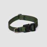 Lifetime Pro Collar