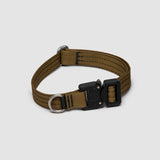 Lifetime Pro Collar