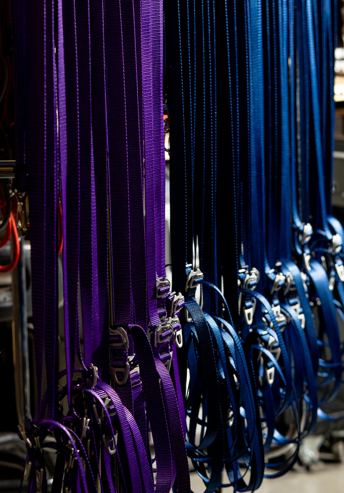 atlas pet company lifetime lite dog leashes in violet and navy  hanging on a rack.