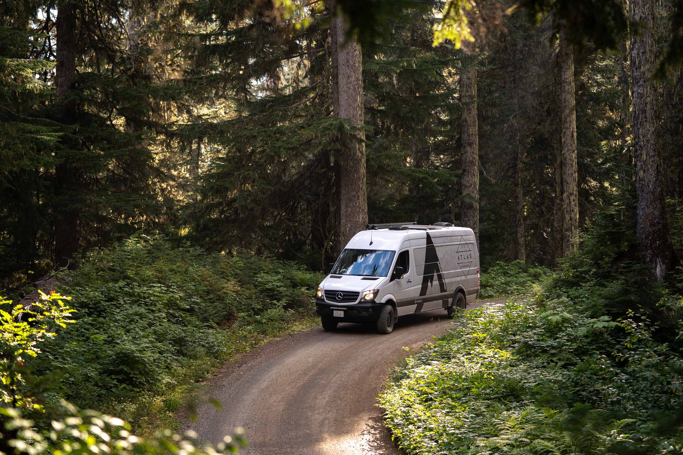 the atlas pet company van driving through a lush forest