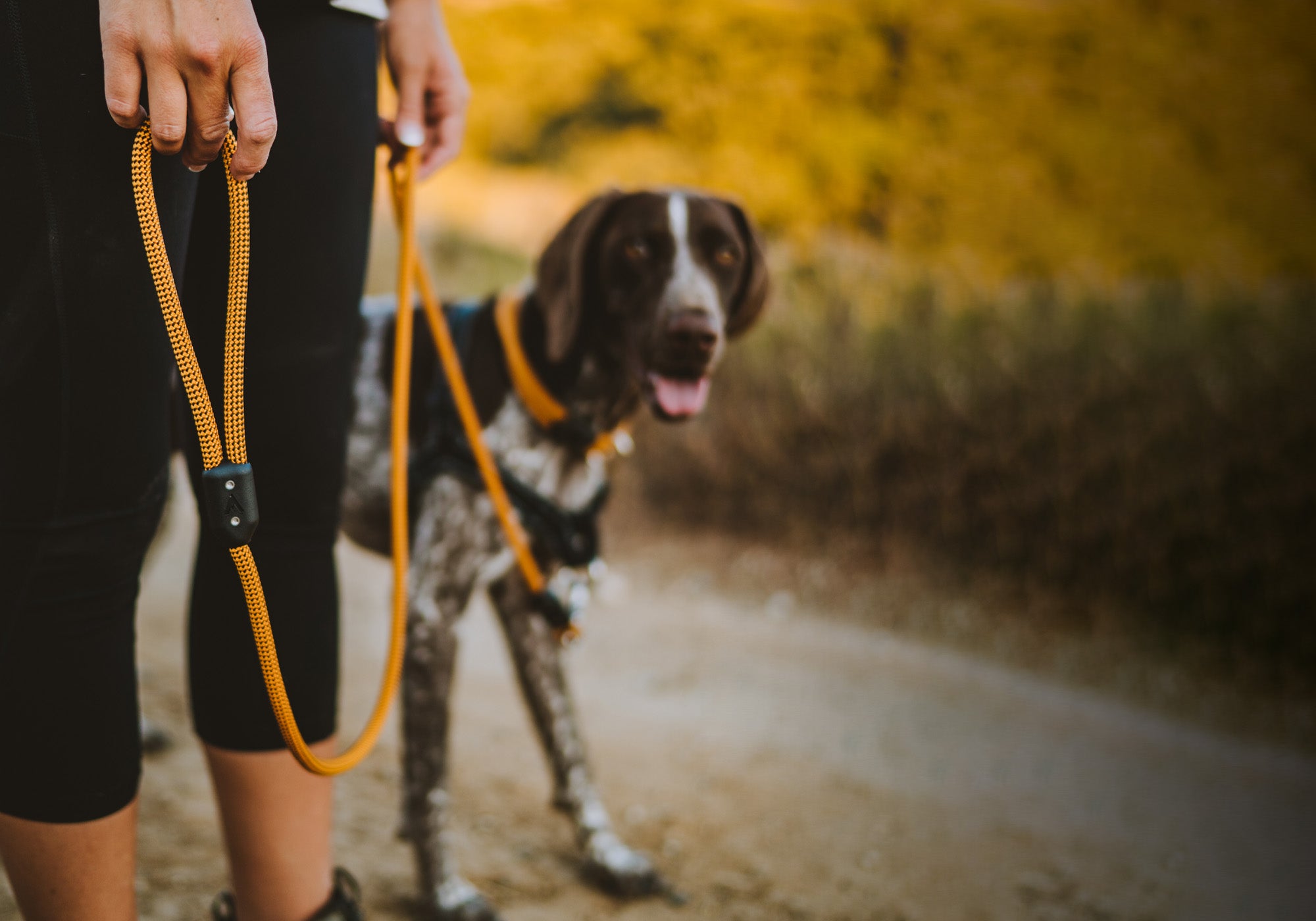 Girl on a dirt road standing next to her dog with the honey atlas pet company lifetime leash