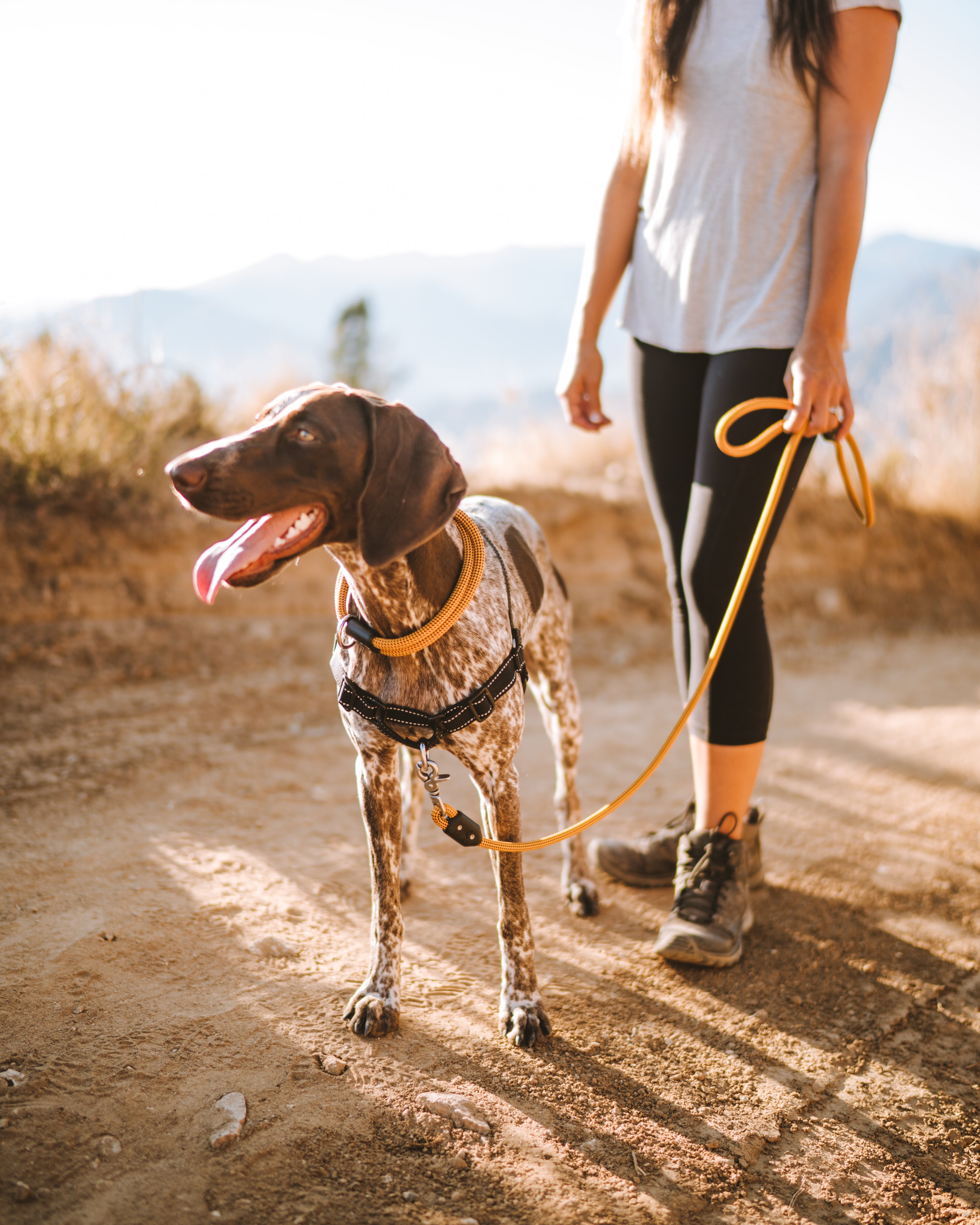 girl hiking with dog lifetime collar atlas pet company fixed-length rope collar in honey on german shorthair pointer on a hike in california mountains 