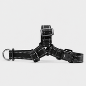 Lifetime Mini Harness