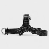 Lifetime Mini Harness