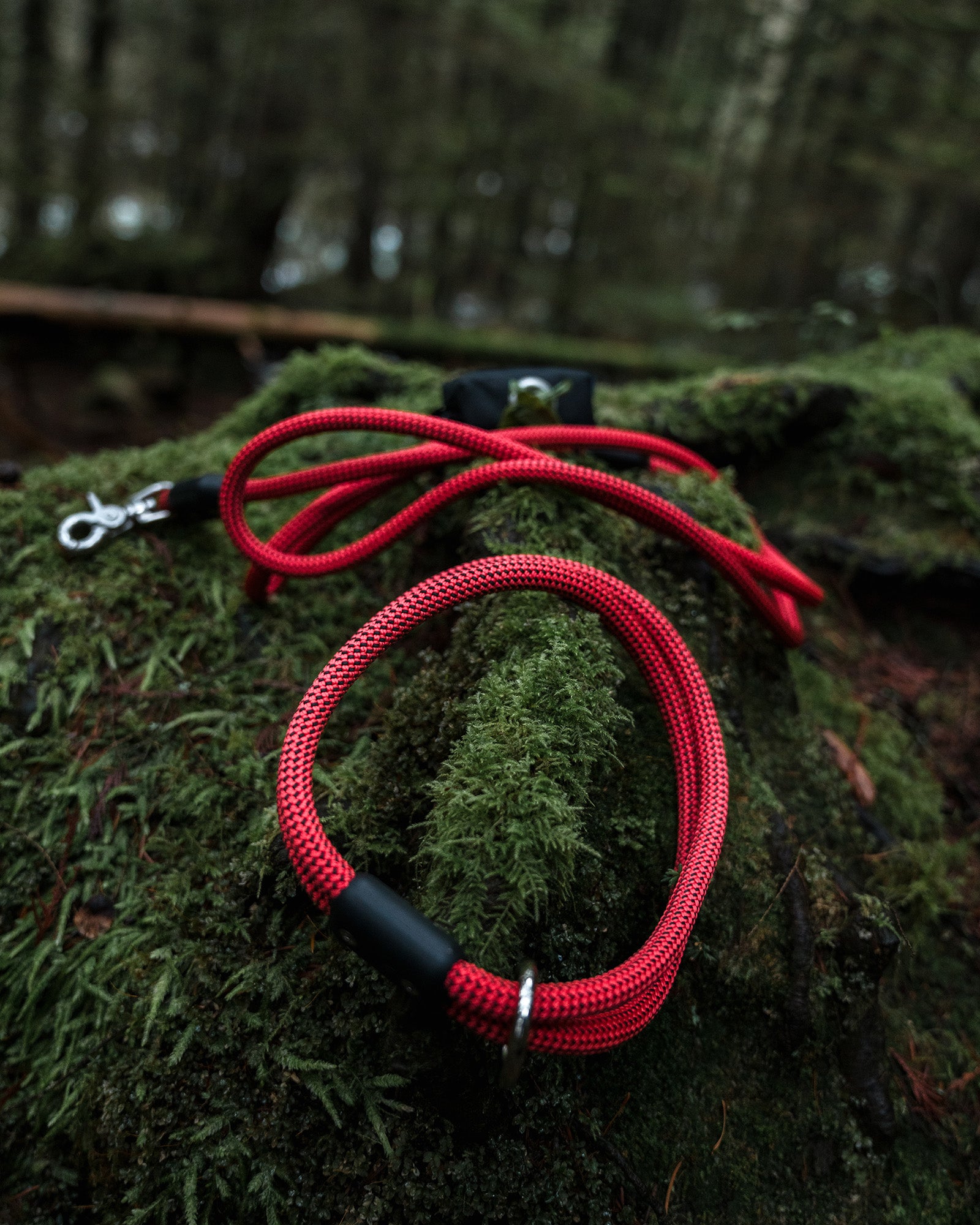 atlas pet company lifetime leash and lifetime collar sitting on mossy rock in the forest