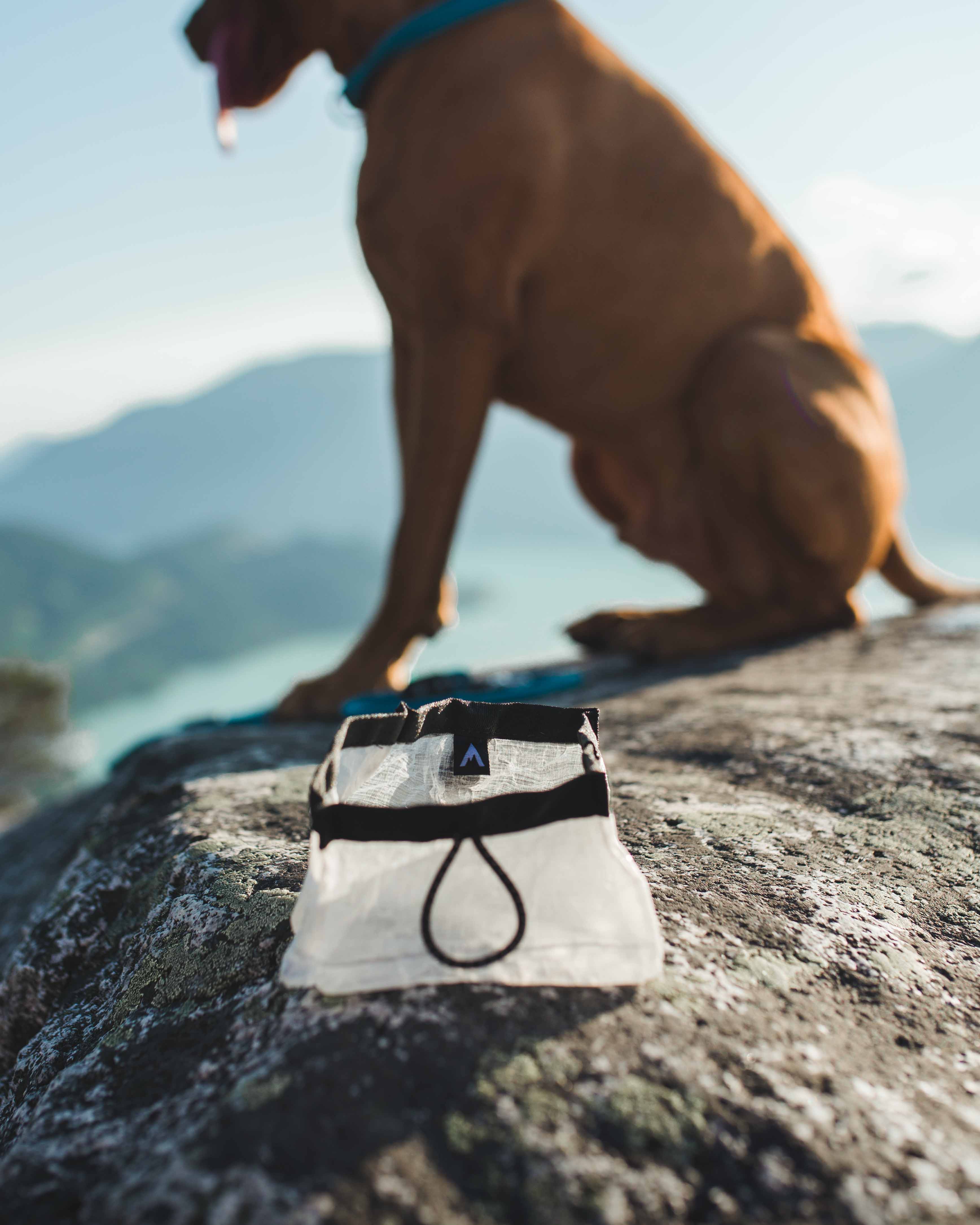 lifetime bowl on rock during hike with dogatlas pet company dog drinking from travel and hiking bowl made from dyneema in colorado and guaranteed for life under our lifetime warranty even if your dog destroys it