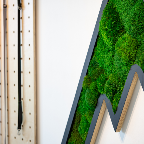 the living wall and pegboard at the atlas pet company retail space in golden colorado