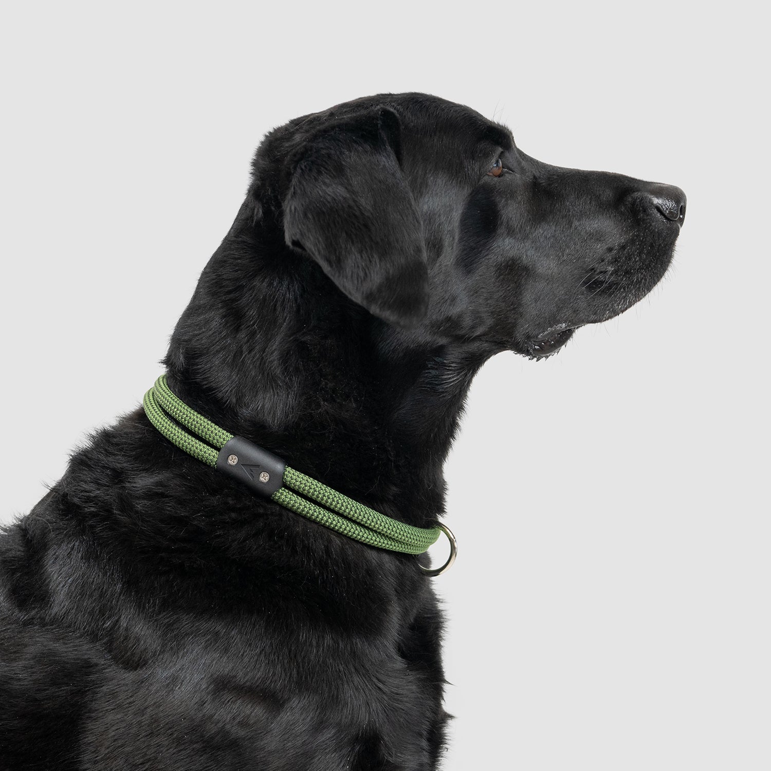 lifetime collar fixed length rope collar for active dogs handmade in colorado by atlas pet company --moss