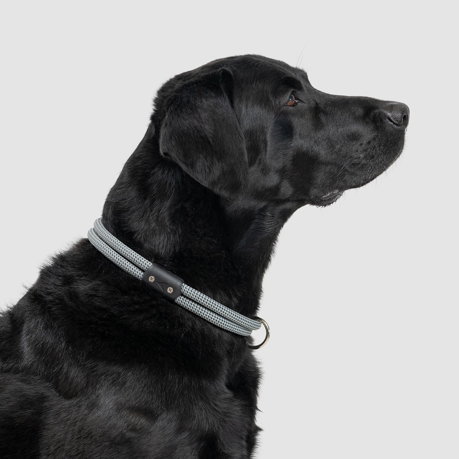 lifetime collar fixed length rope collar for active dogs handmade in colorado by atlas pet company