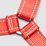 atlas pet company lifetime harness no pull harness with lifetime warranty for active dogs handmade in colorado --ruby