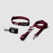 atlas pet company lifetime lite kit with lifetime warranty adjustable dog leash collar and pouch --maroon