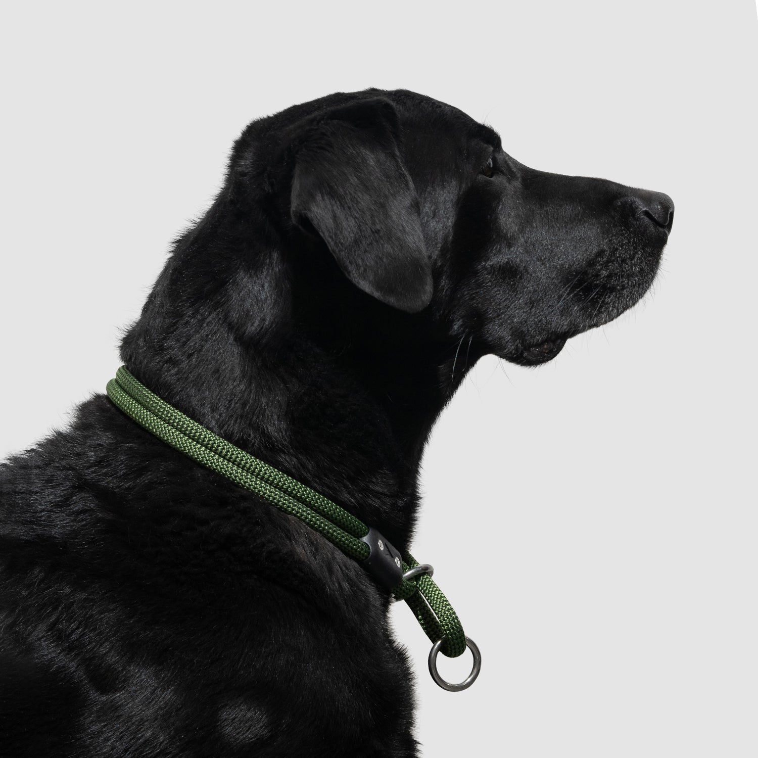 atlas pet company lifetime slip collar training collar for active pups handmade in colorado with lifetime warranty --moss